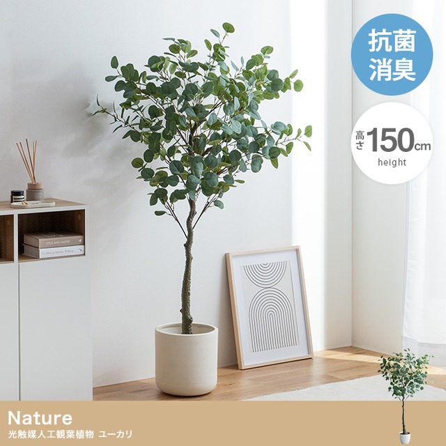 【高さ150cm】Nature 光触媒人工観葉植物 ユーカリ