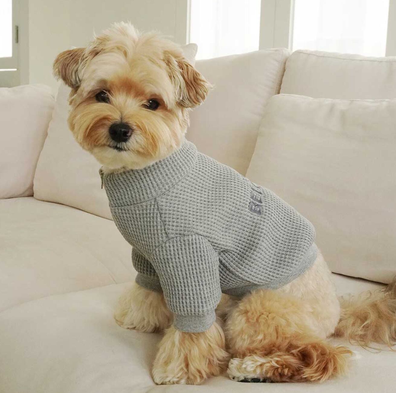 予約【noonoosoom】THE BE LOVED Half Zipup (Gray)