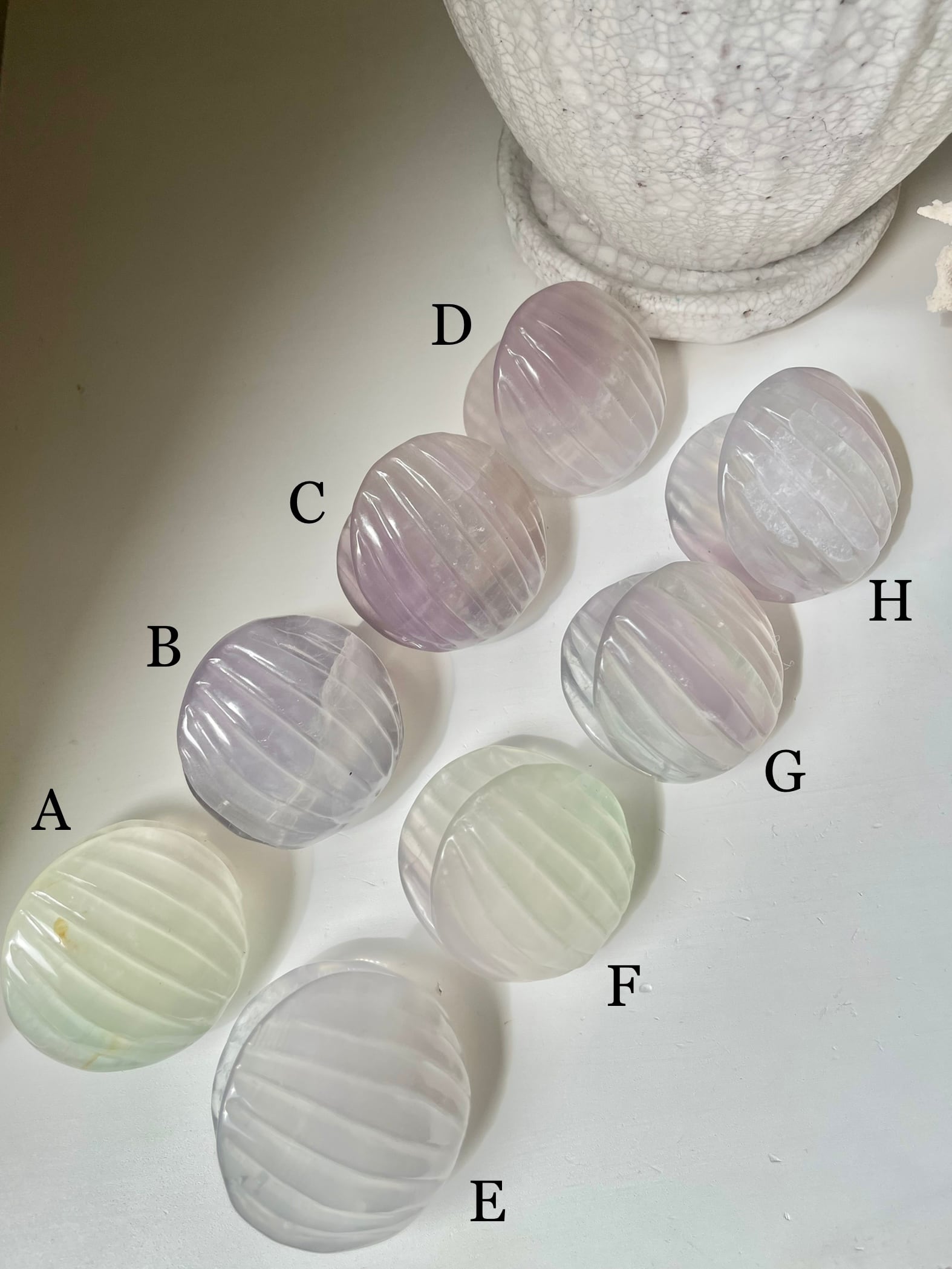 Lavender Fluorite Shell / ラベンダーフローライト　貝