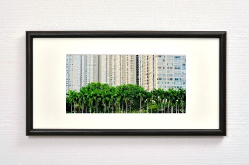 マンション群と椰子の木々（ホーチミン）