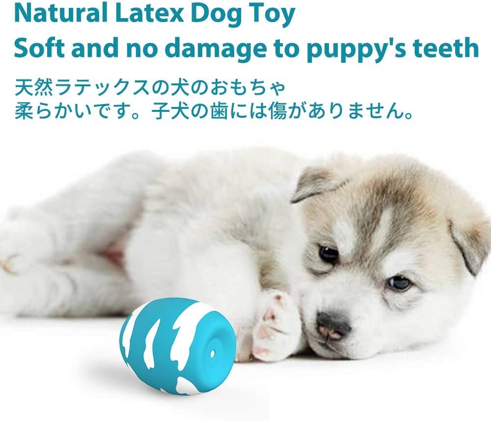SCHITEC 犬おもちゃ 音の出る 【6点セット】 噛むおもちゃ ストレス