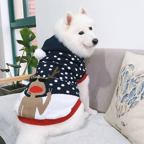 3XL~6XL 受注生産 クリスマスセーター(トナカイ)