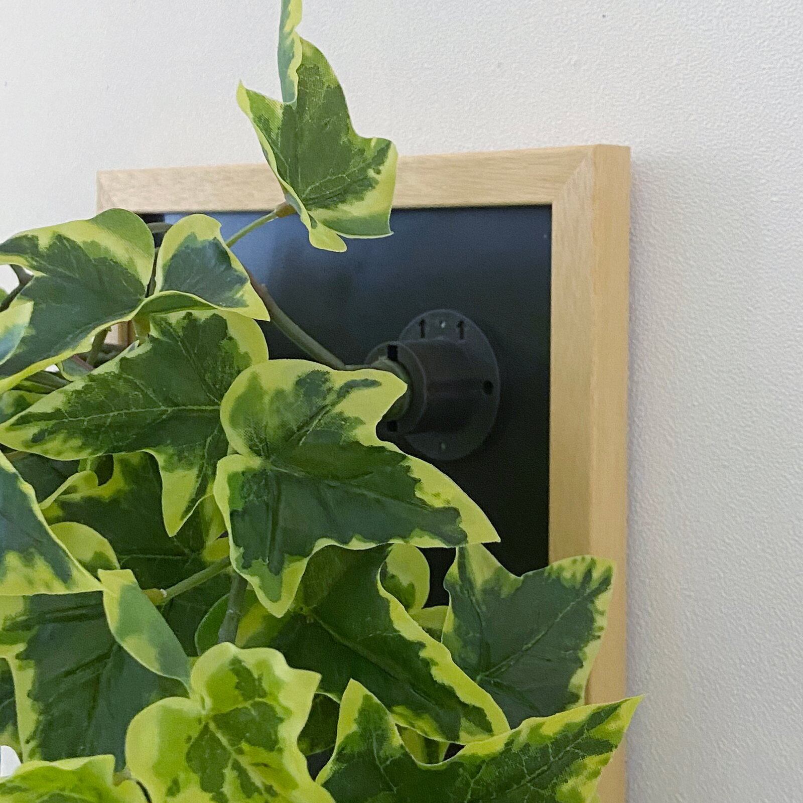 ロックフレームアレンジガーリーB