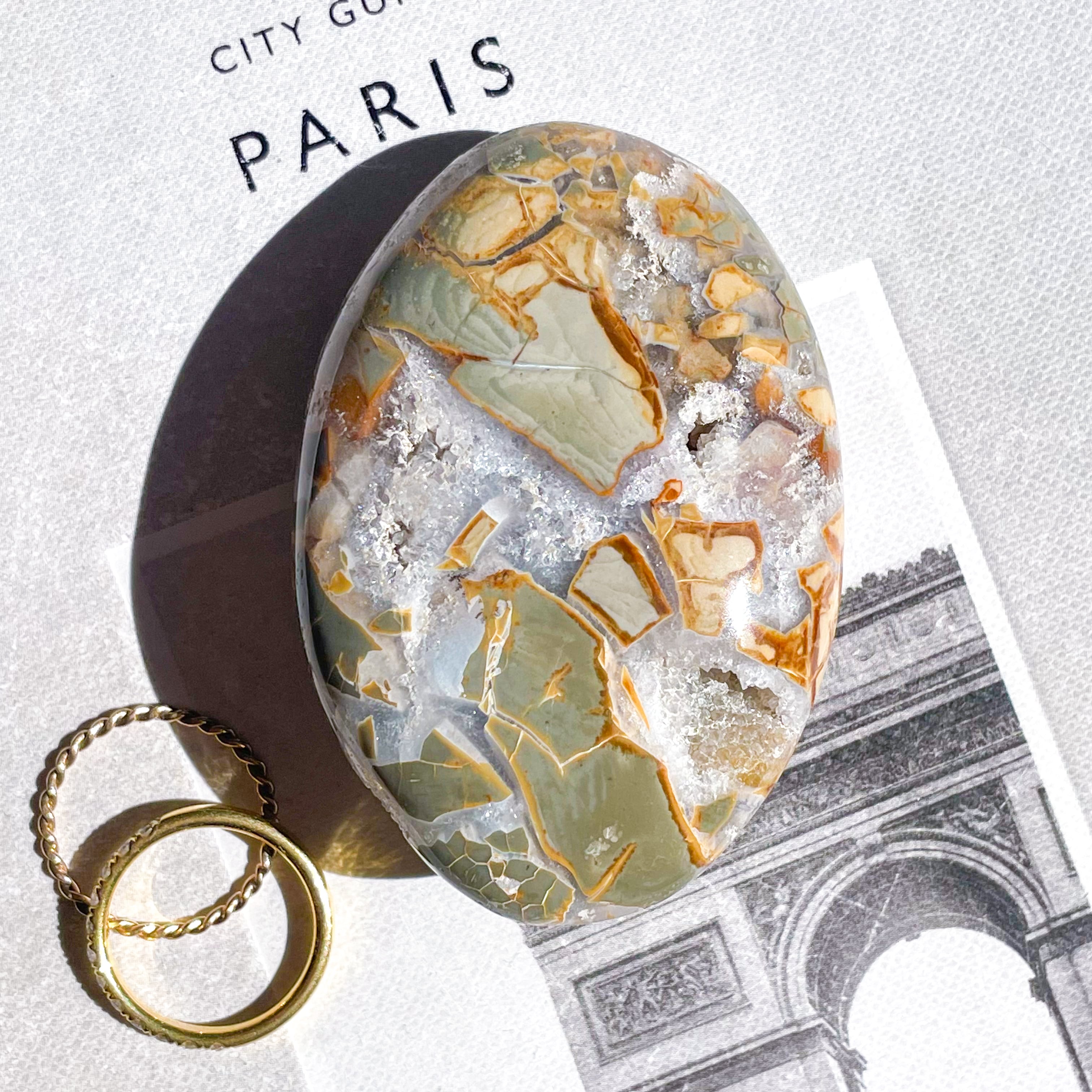 Ibis Jasper Palm 1 ✧ アイビスジャスパー