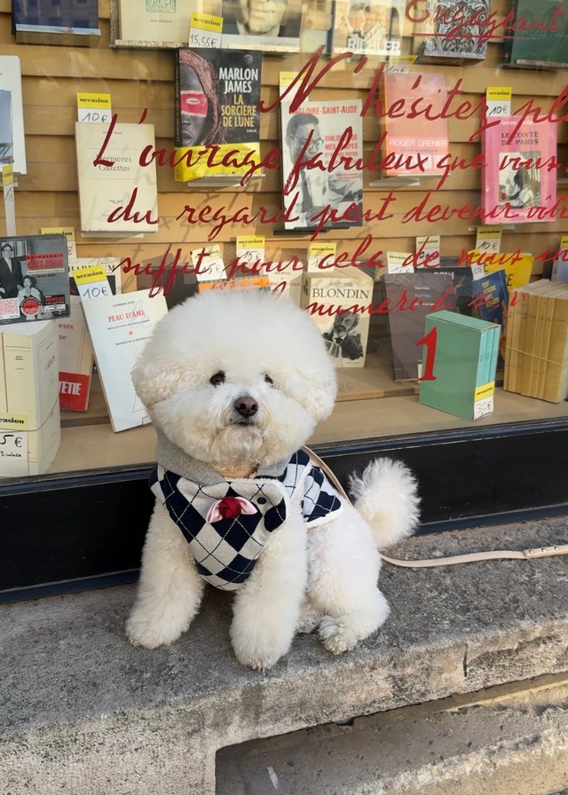 〈予約アイテム〉SICGGU / ネイビーアーガイル イージーオープン パディング