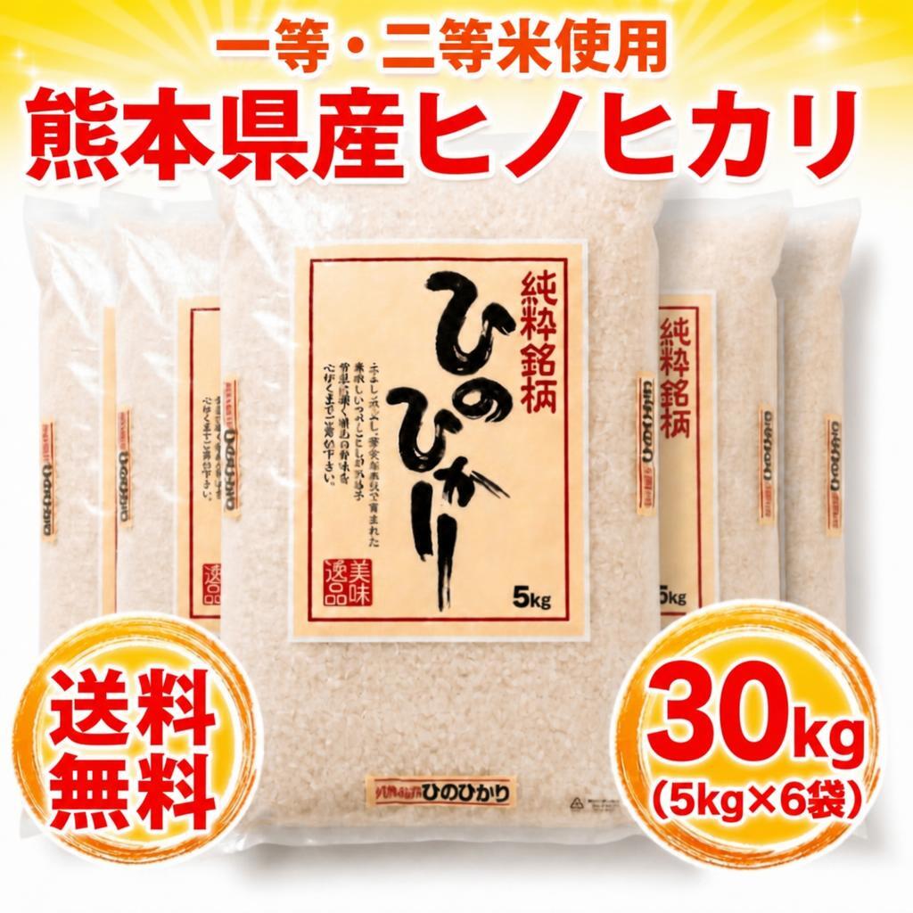 お米 米 5kg 白米 送料無料 一等二等米使用 熊本県産 ひのひかり 令和7