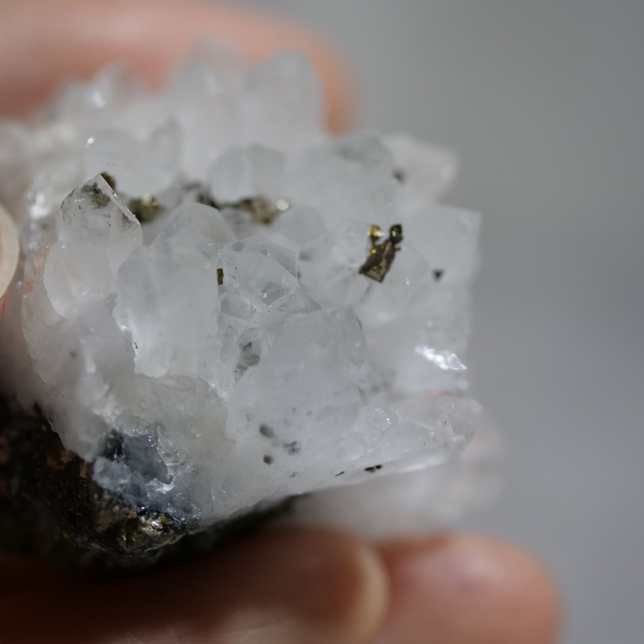 クリアクォーツ / パイライト / 原石 標本