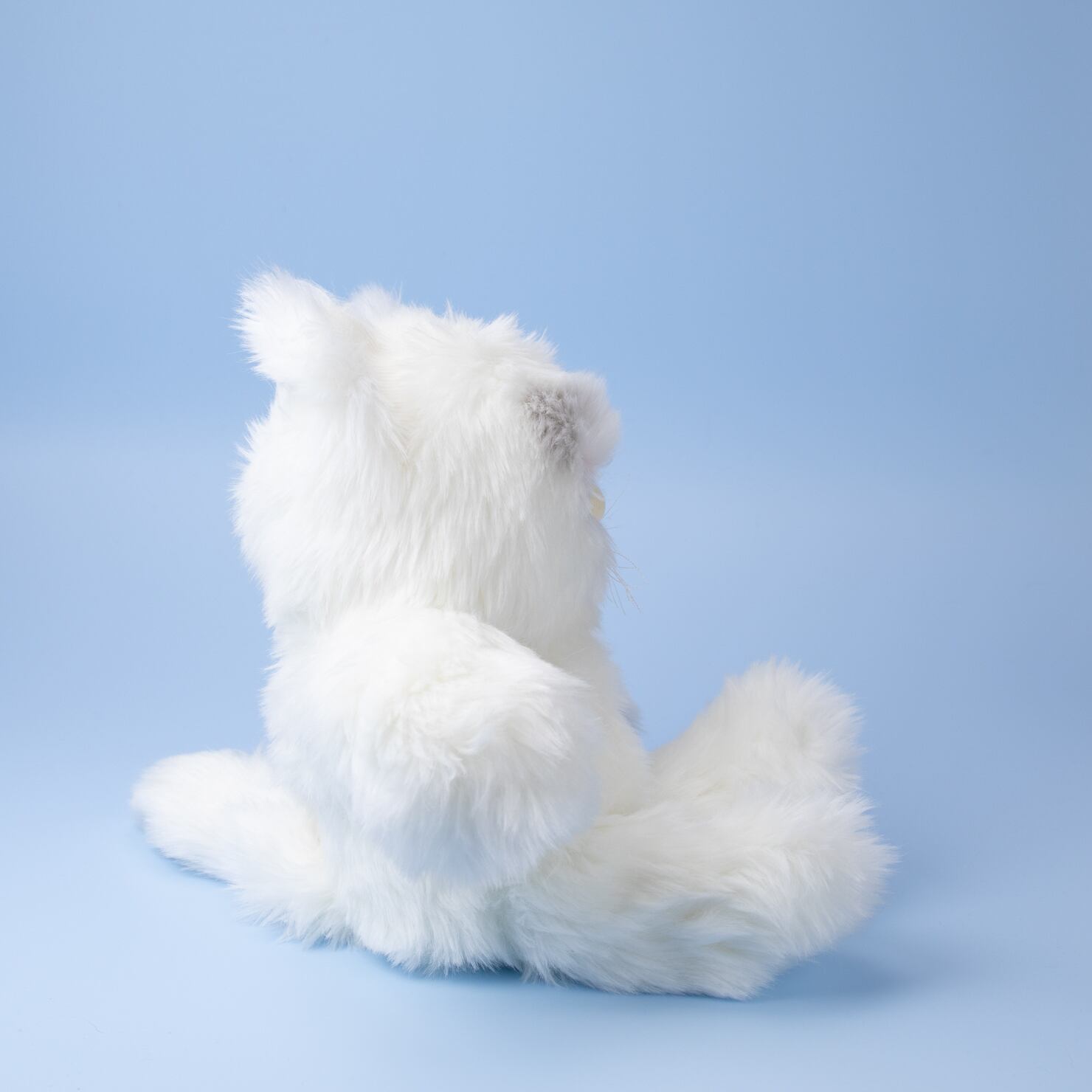 doudou-poi > ぬいぐるみ - まゆげのチュウチュウ（white） | 住む街で