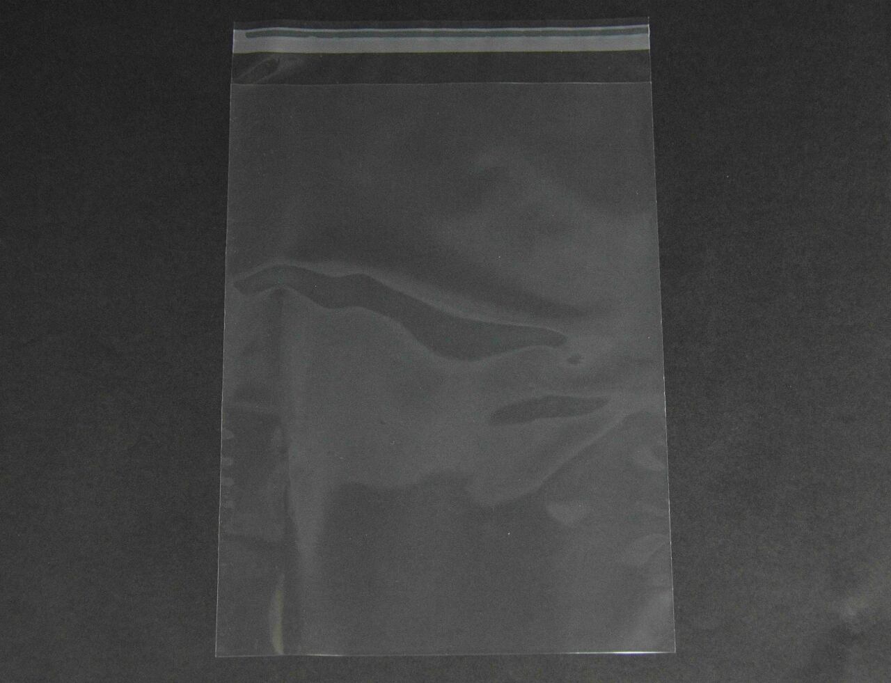 雑貨小分け包装・部品、資料整理(CPP袋 CPP袋 雑貨袋 テープ付き)横240×縦330+フタ40mm CPP フィルム 60μ(0.06mm)【1,000枚】