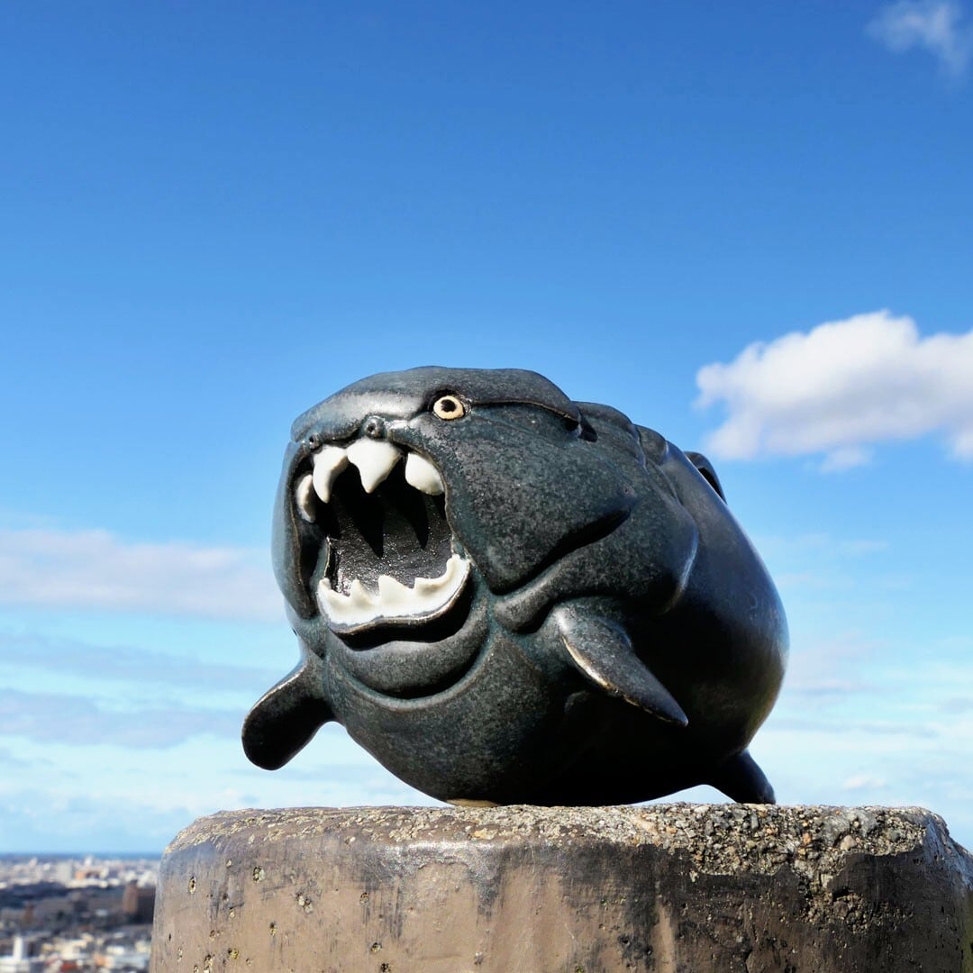 ALL ITEM | セラミミックonlinestore