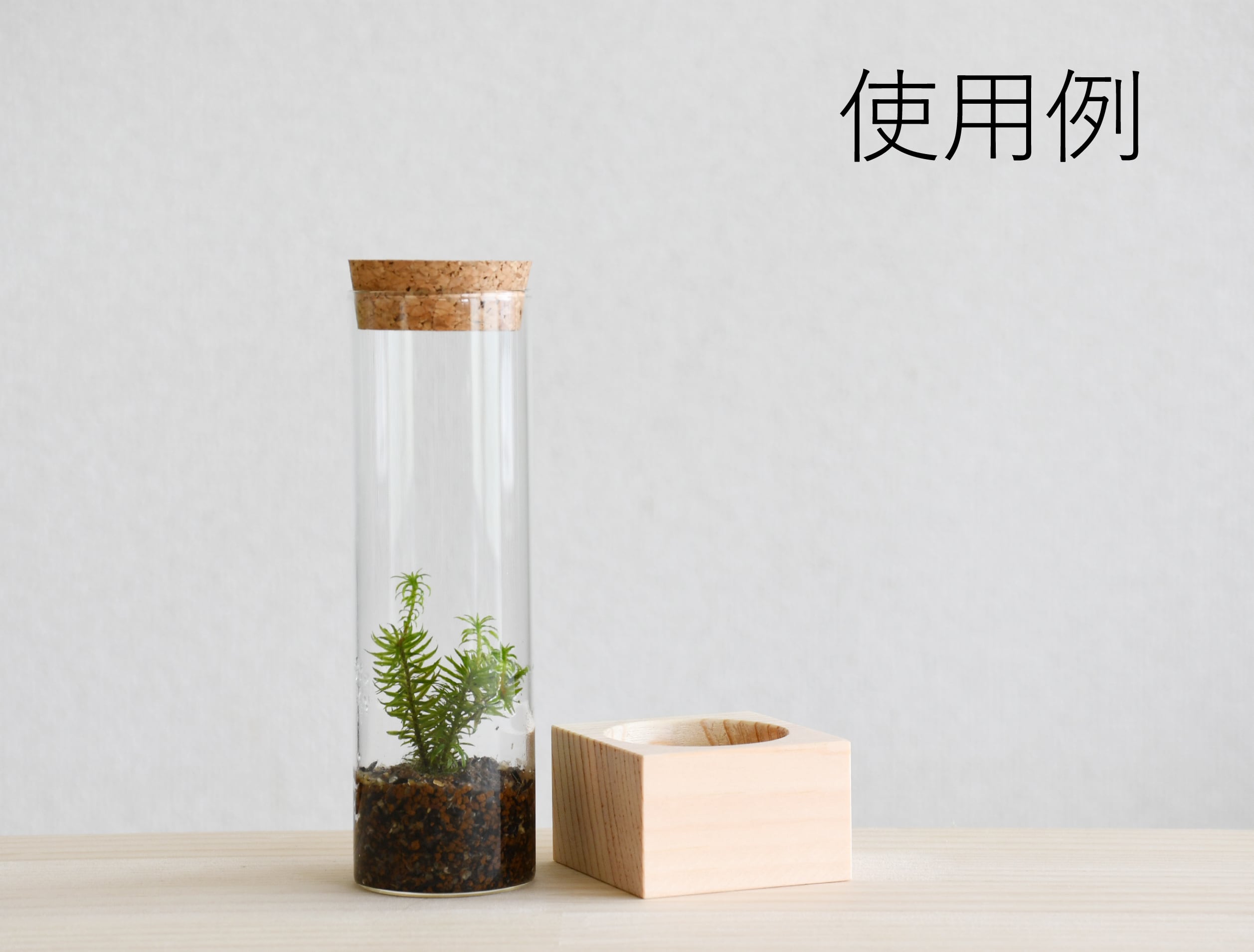 木製試験管立て 1本用 | 苔テラリウム専門ショップ道草