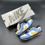 DUNK LOW PRO SB HOMER  304292-173