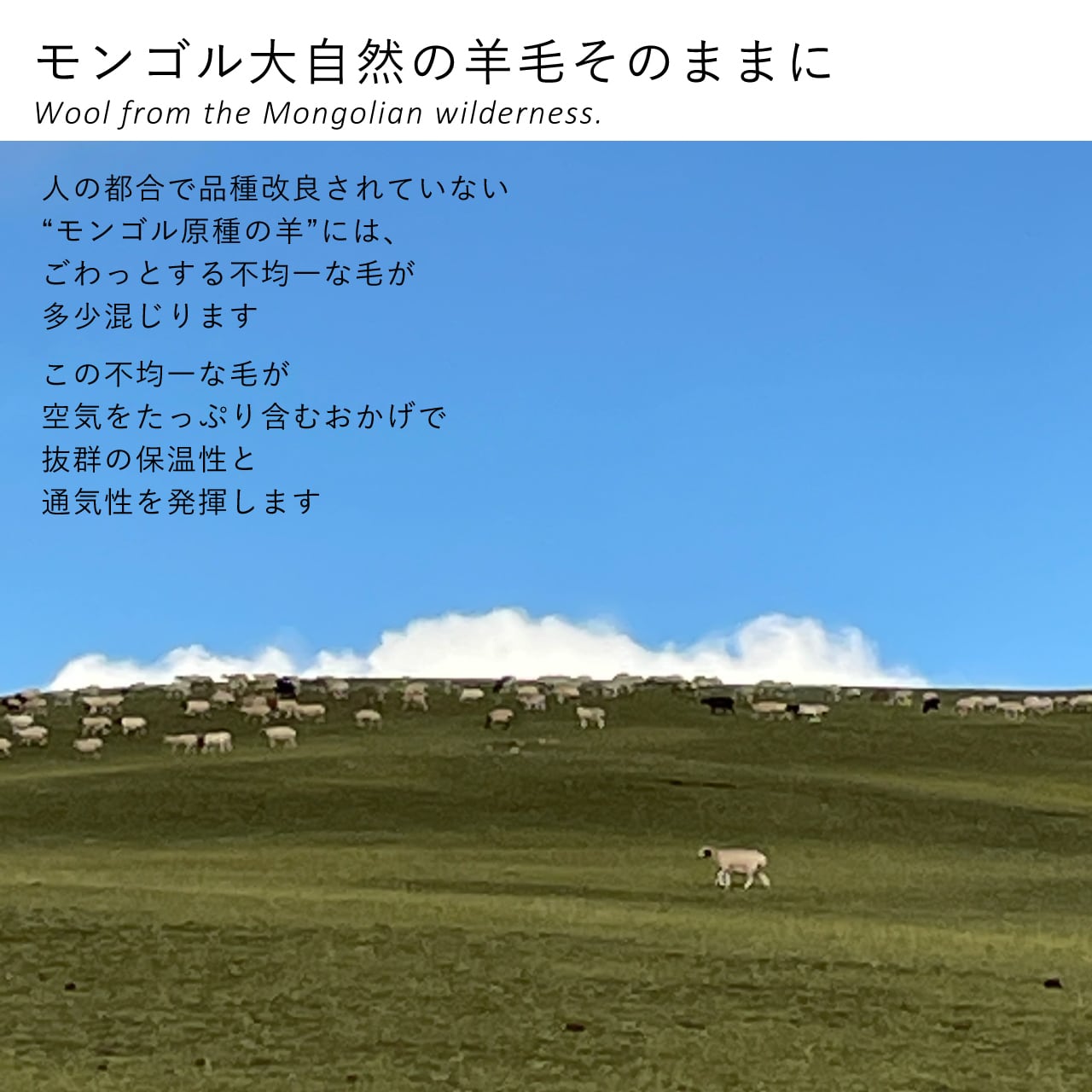 ウールのショートベスト | 空飛ぶ羊 BASE webshop｜モンゴルの天然毛