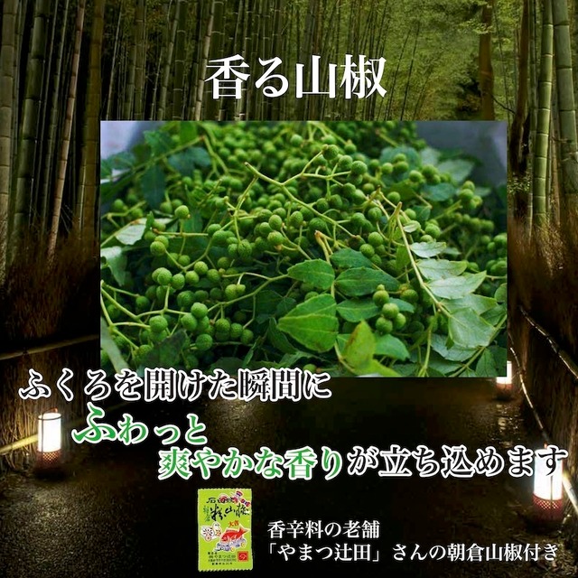 うな重　 4人前　ご自宅用簡易包装