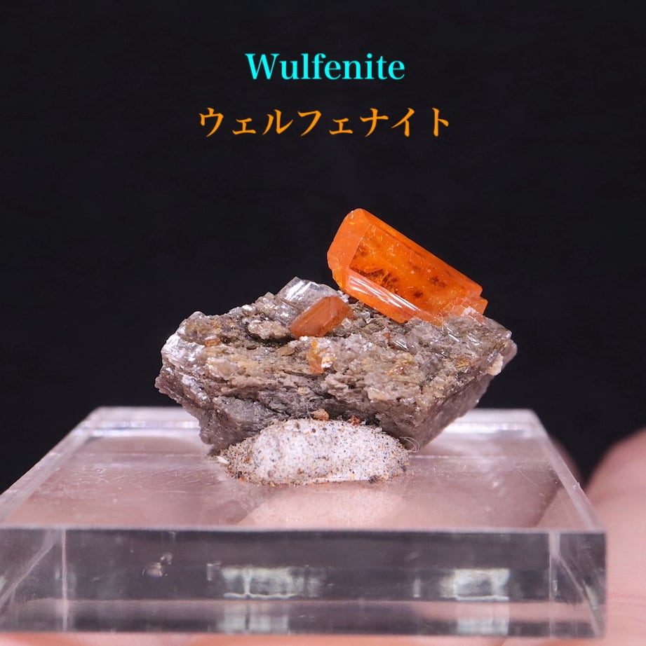 モリブデン鉛鉱 母岩 台付き ウェルフェナイト 1,9g WF103 天然石 鉱物