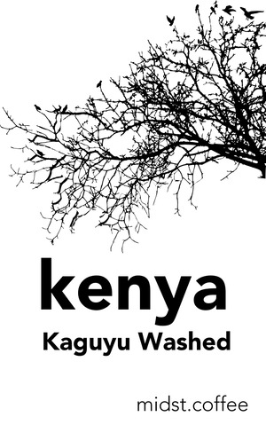 【完売】ケニア カグユ ウォッシュド　中深煎り 100g