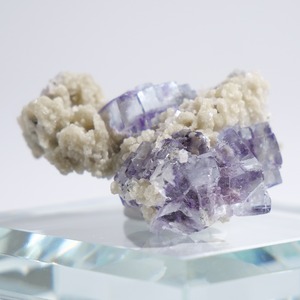 ヤオガンシャン産 フローライト 共生 / 原石 標本【F_1】