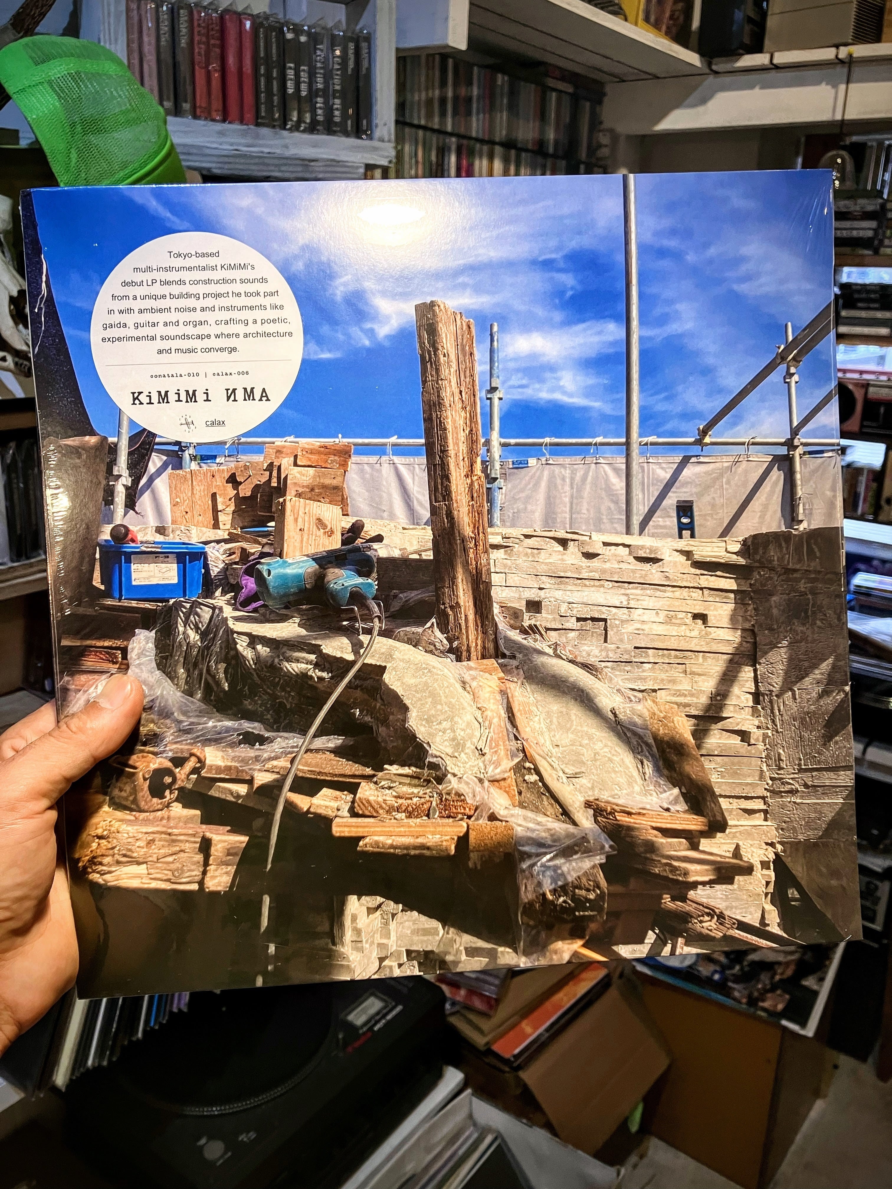 幽体美人 - S/T（Vinyl） | ゴヰチカ商店