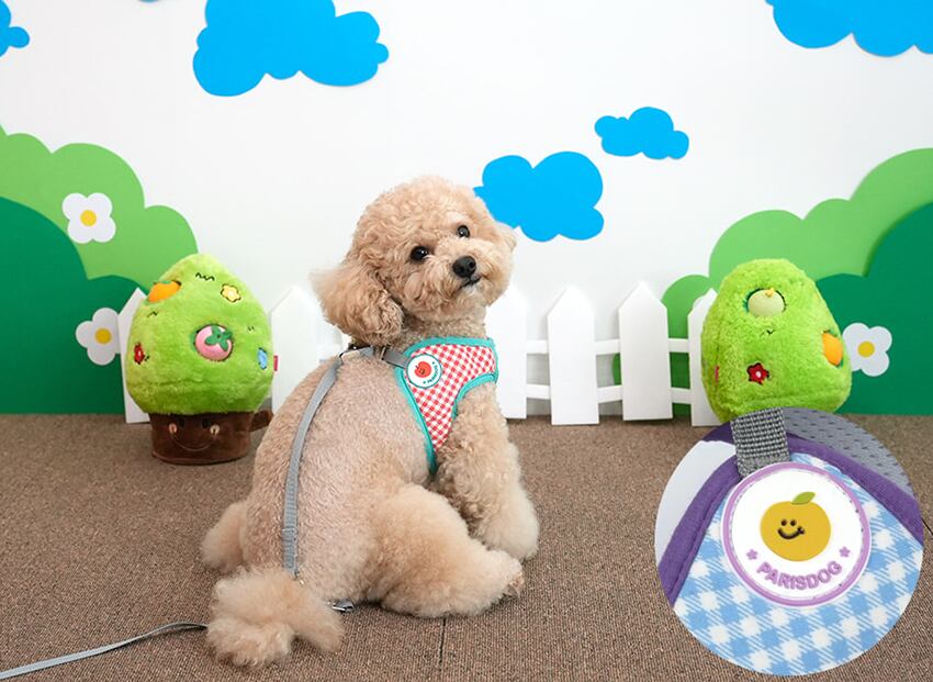 fruits bib harness S ~ L 2color  /  犬 犬用 ハーネス リード セット 小型犬 中型犬 ドッグウェア ペット用品 胴輪 お出かけ ドッグウェア b59