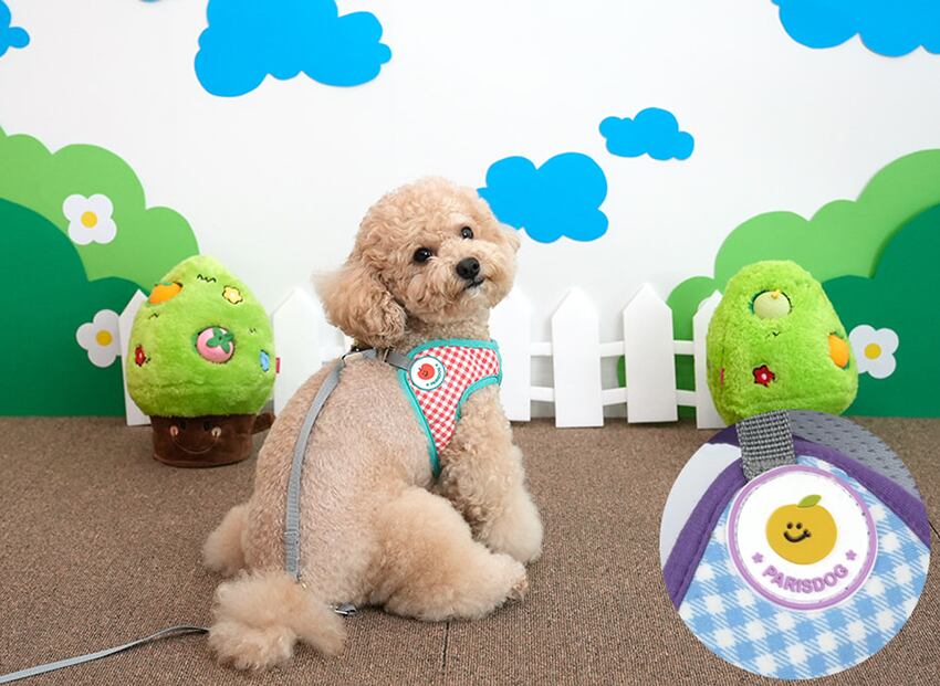 fruits bib harness S ~ L 2color  /  犬 犬用 ハーネス リード セット 小型犬 中型犬 ドッグウェア ペット用品 胴輪 お出かけ ドッグウェア