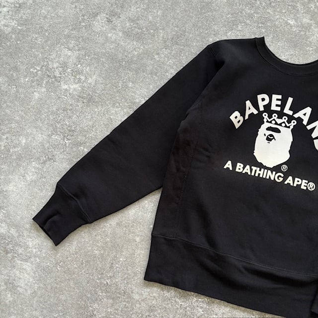 Champion】A Bathing APE チャンピオン アベイシングエイプ リバース