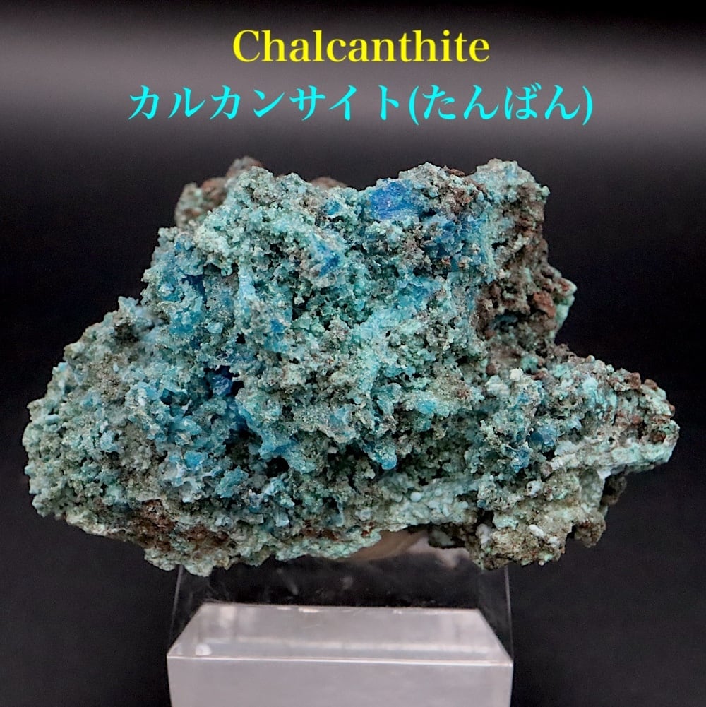 チリ産 カルカンサイト（胆礬） 電気石ブルー結晶群 鉱物標本 原石