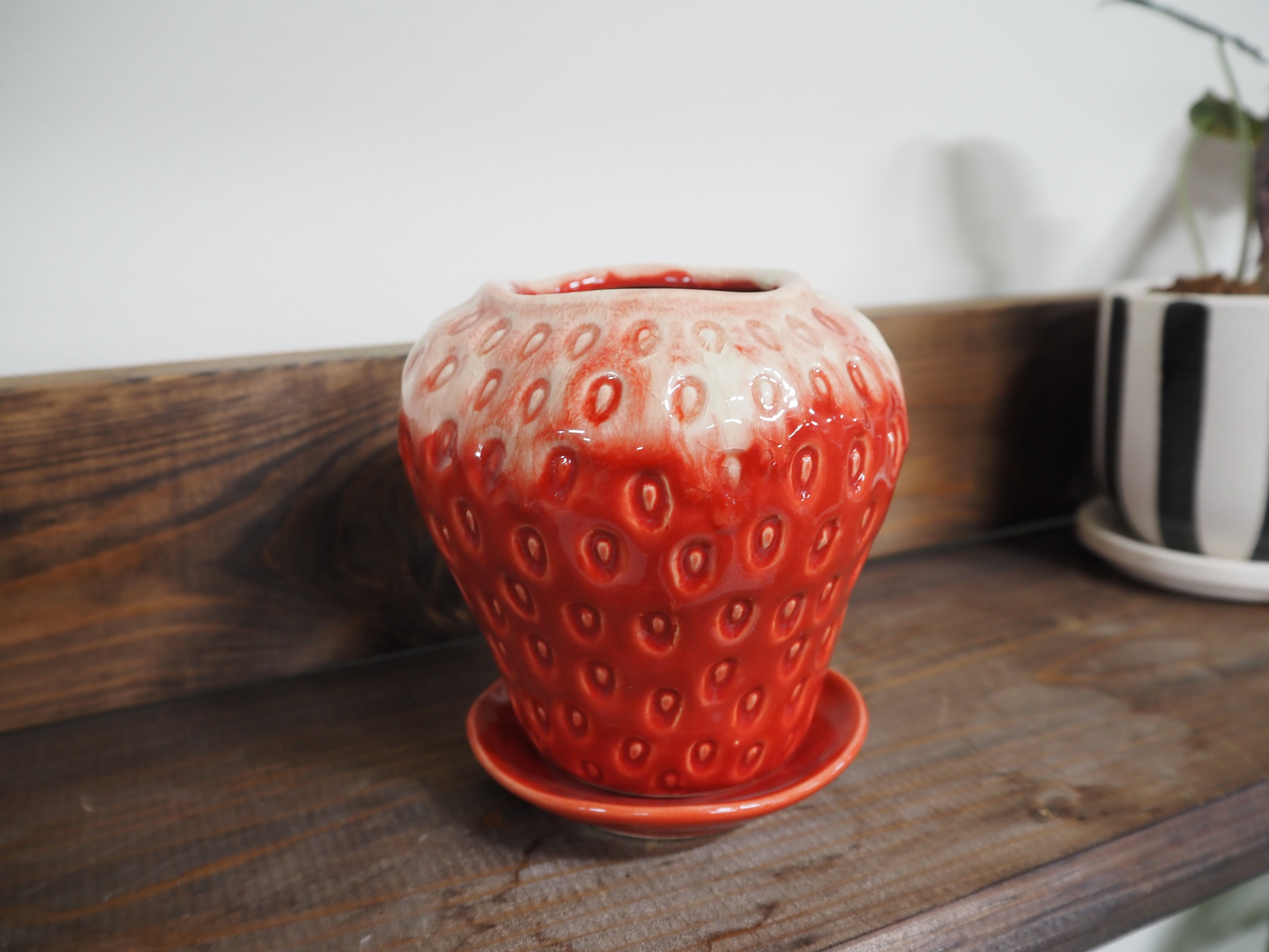 ALL ITEM | 高橋園芸