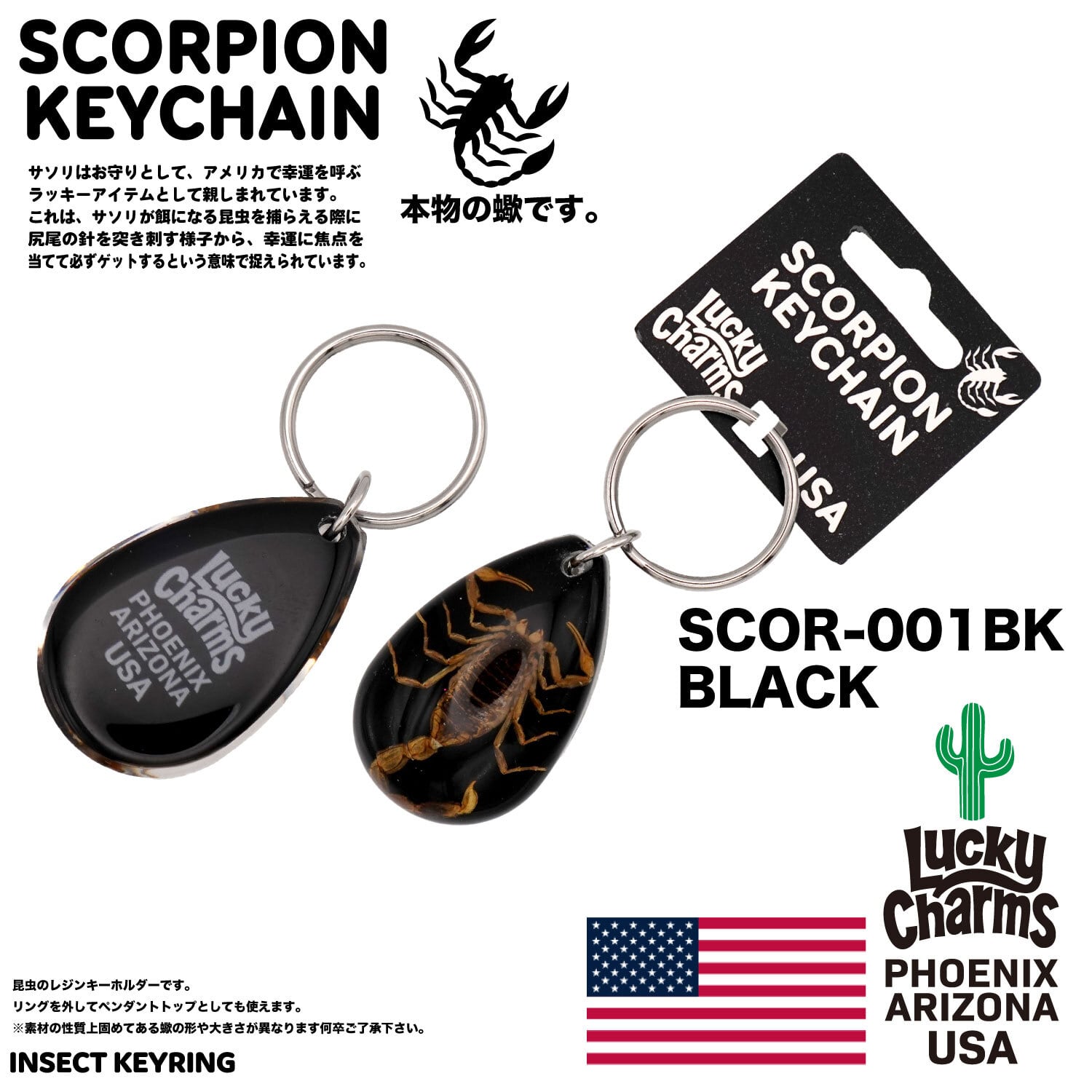 USA ARIZONA SCORPION DROP KEYCHAIN 蠍 サソリ スコーピオン お守り