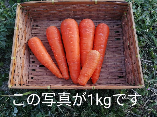 人参１kg　「嫌いな子にこそ食べて欲しい」