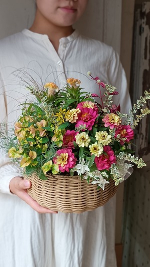 【花苗セット】華やかジニア「ジニュアンスタブルピーチテラコッタ」のカラフル花苗セット