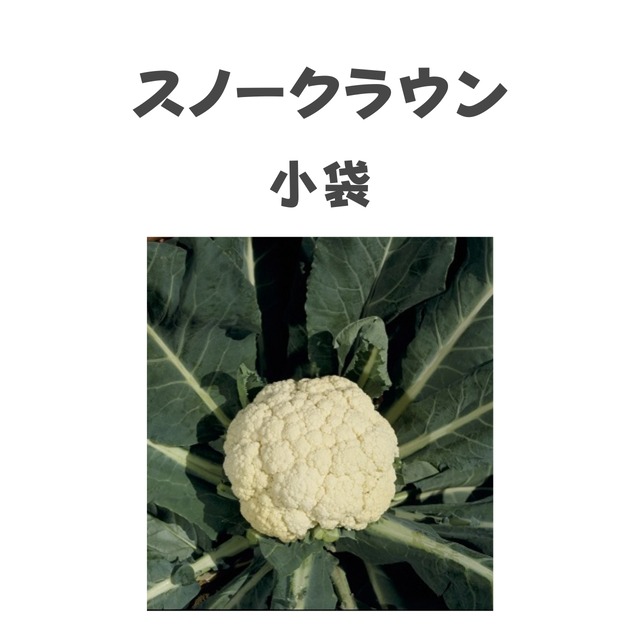スノークラウン　カリフラワー種子・小袋