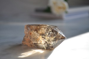 学業面の理解力を高める　