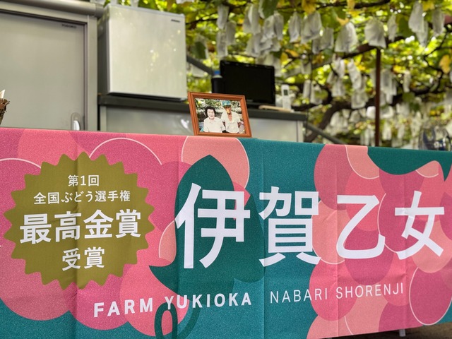 【2025年9月】全国ぶどう選手権受賞品種詰め合わせ