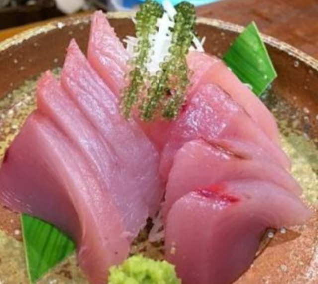 本日限定！鮮度抜群の釣キメジ（キハダマグロ若魚）