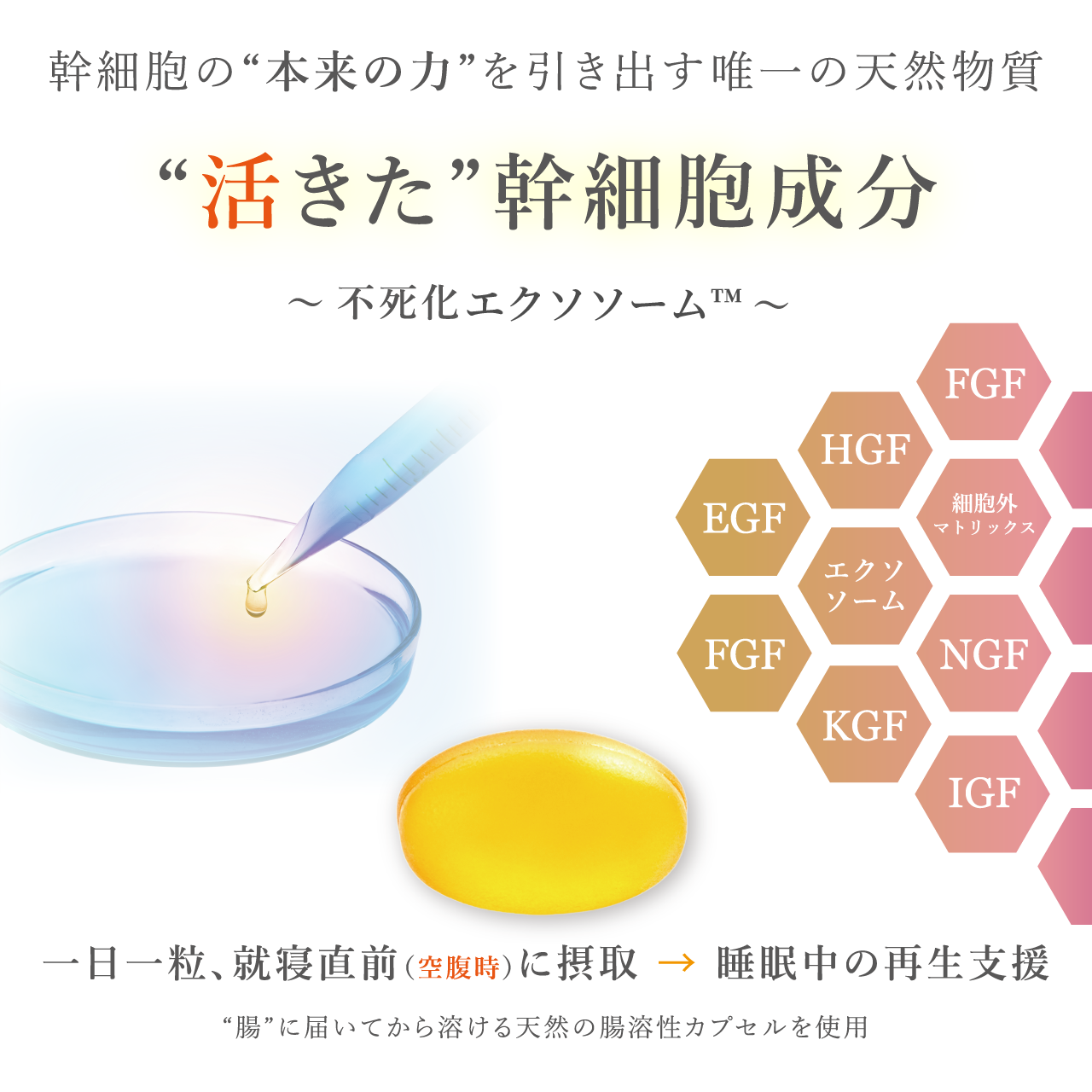 2個セット 新品未開封 ダーウィン　バイオリプロ FKチャージ 30粒 BioRepro FK charge | ダーウィン オフィシャルサイト