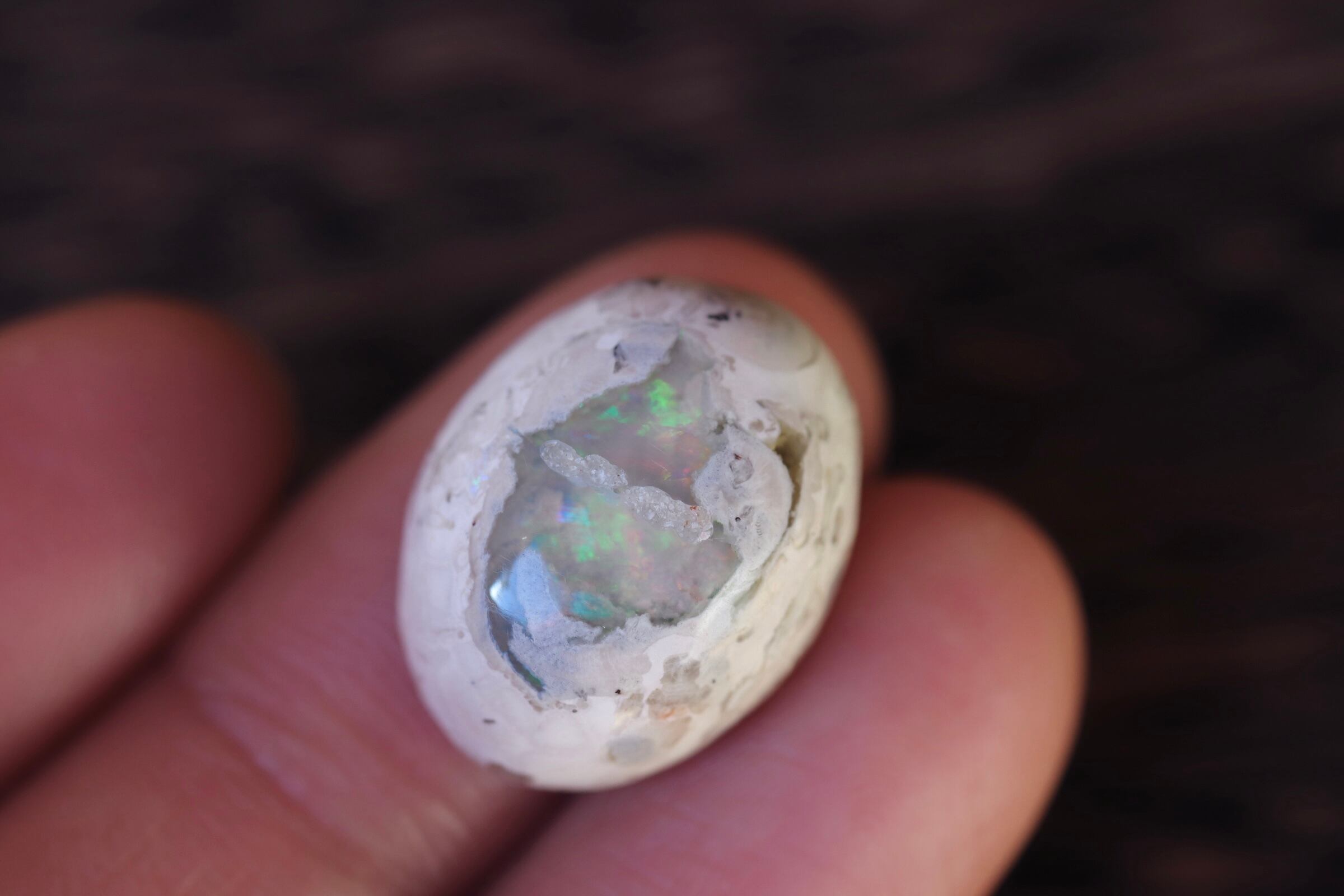 新品 カンテラオパール 16 各種パーツ V Pravda Ru