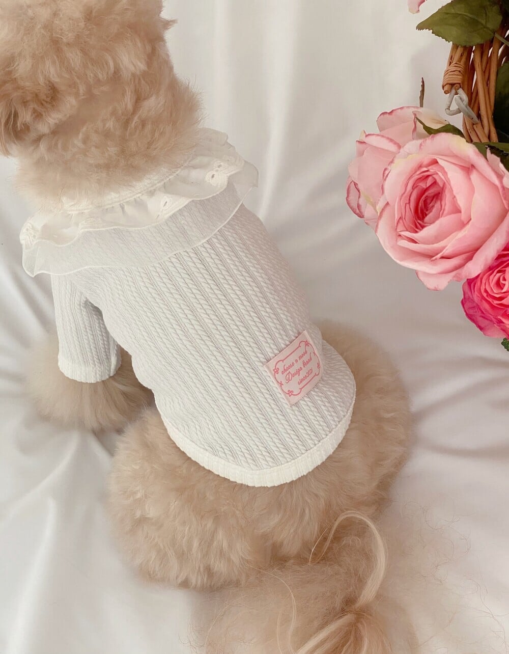 予約【cheese n mood】Candy cardigan (White)