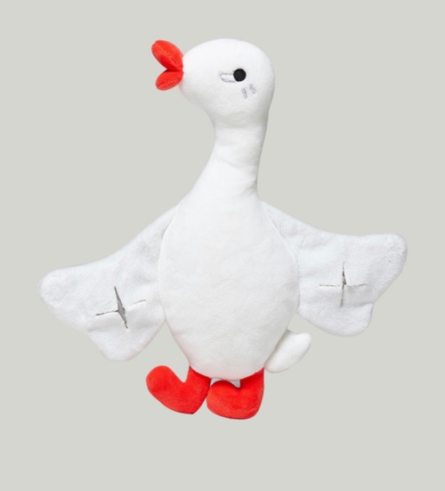 andblank  Flying duck nosework toy