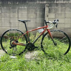 ANCHOR  RL8D