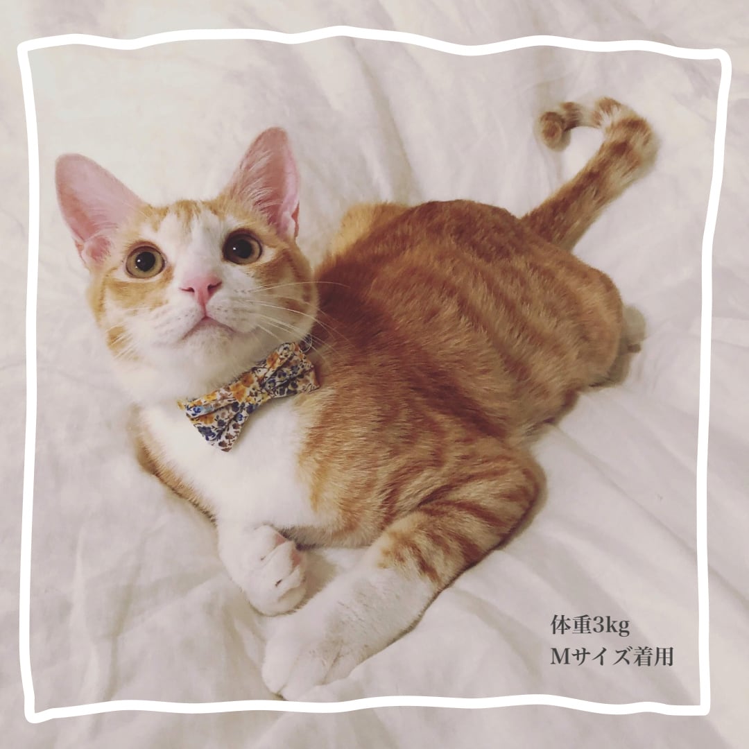 猫 犬 首輪 リバティプリント × Betsy リボン ブルーグレー 花柄