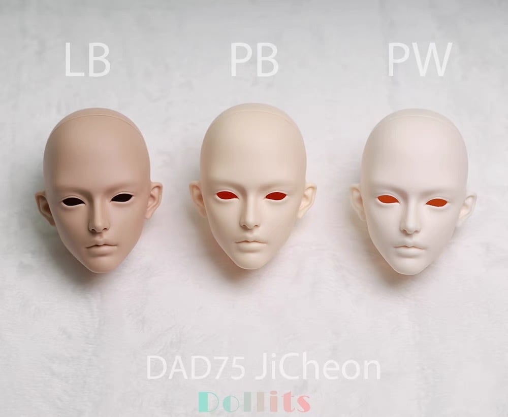 ヘッドのみ! Jicheon 单头 DOLLITS×Theo 3分bjd 75叔 ボディ ヘッドのみ! Jicheon 单头 DOLLITS×Theo 3分bjd 75叔 ボディ