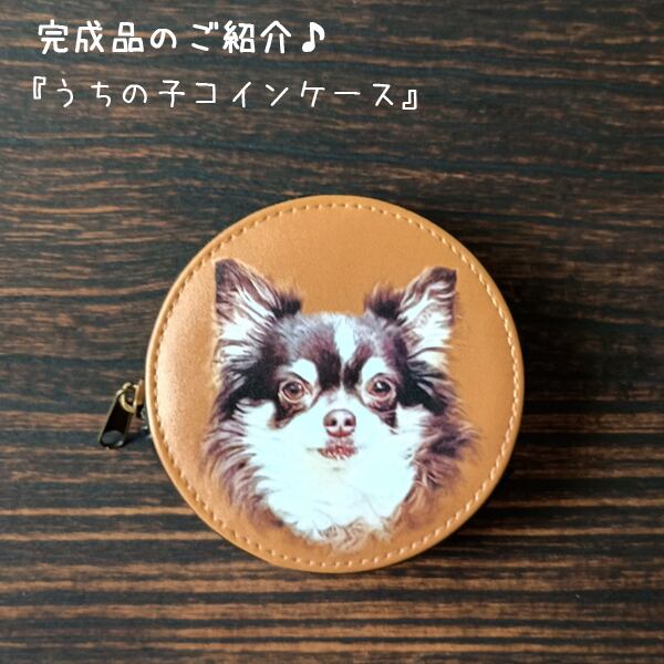 ペット✩犬✩マナーベルトオーダー用 サンプル（確認用