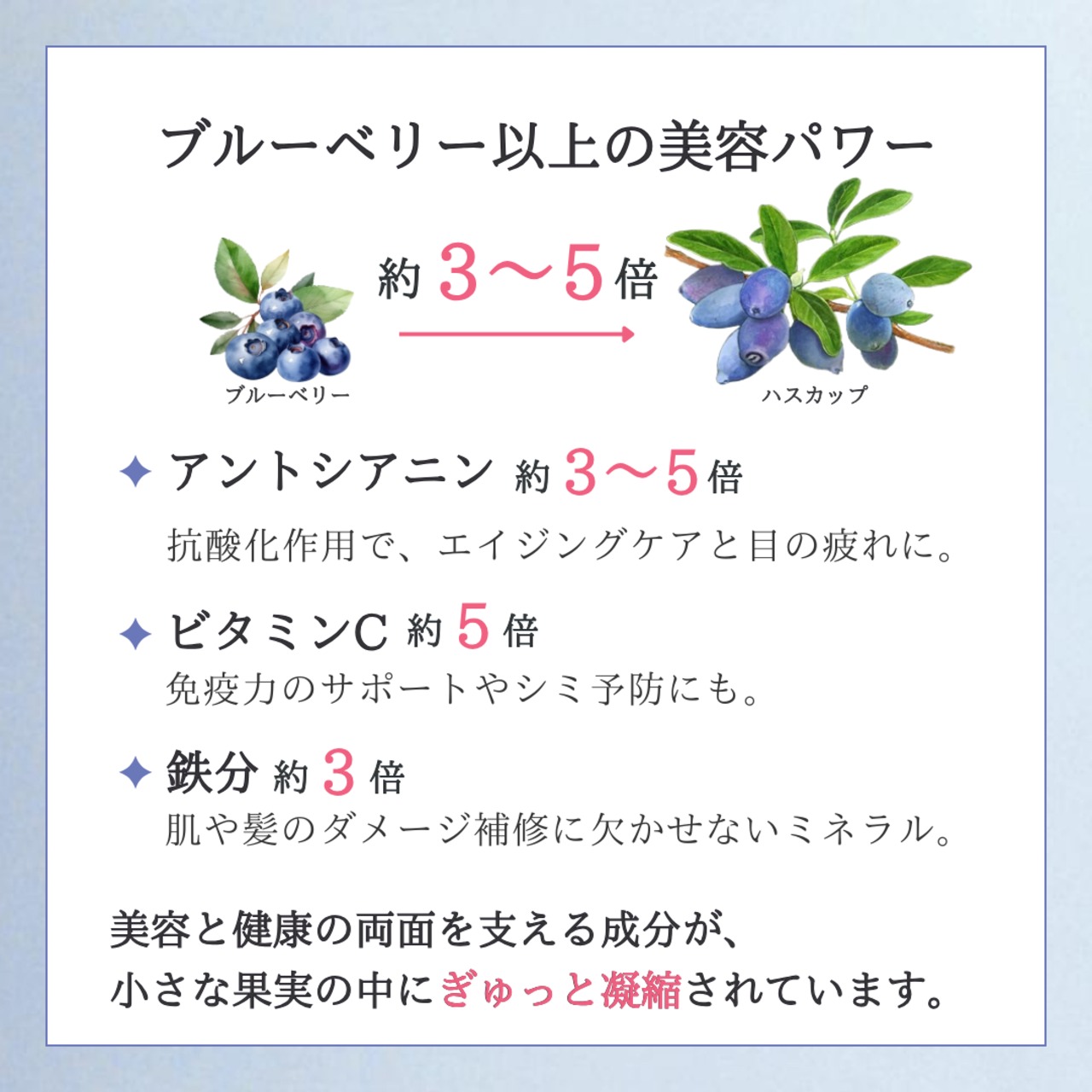 【8年以上熟成酵素入】ハスカップジャム