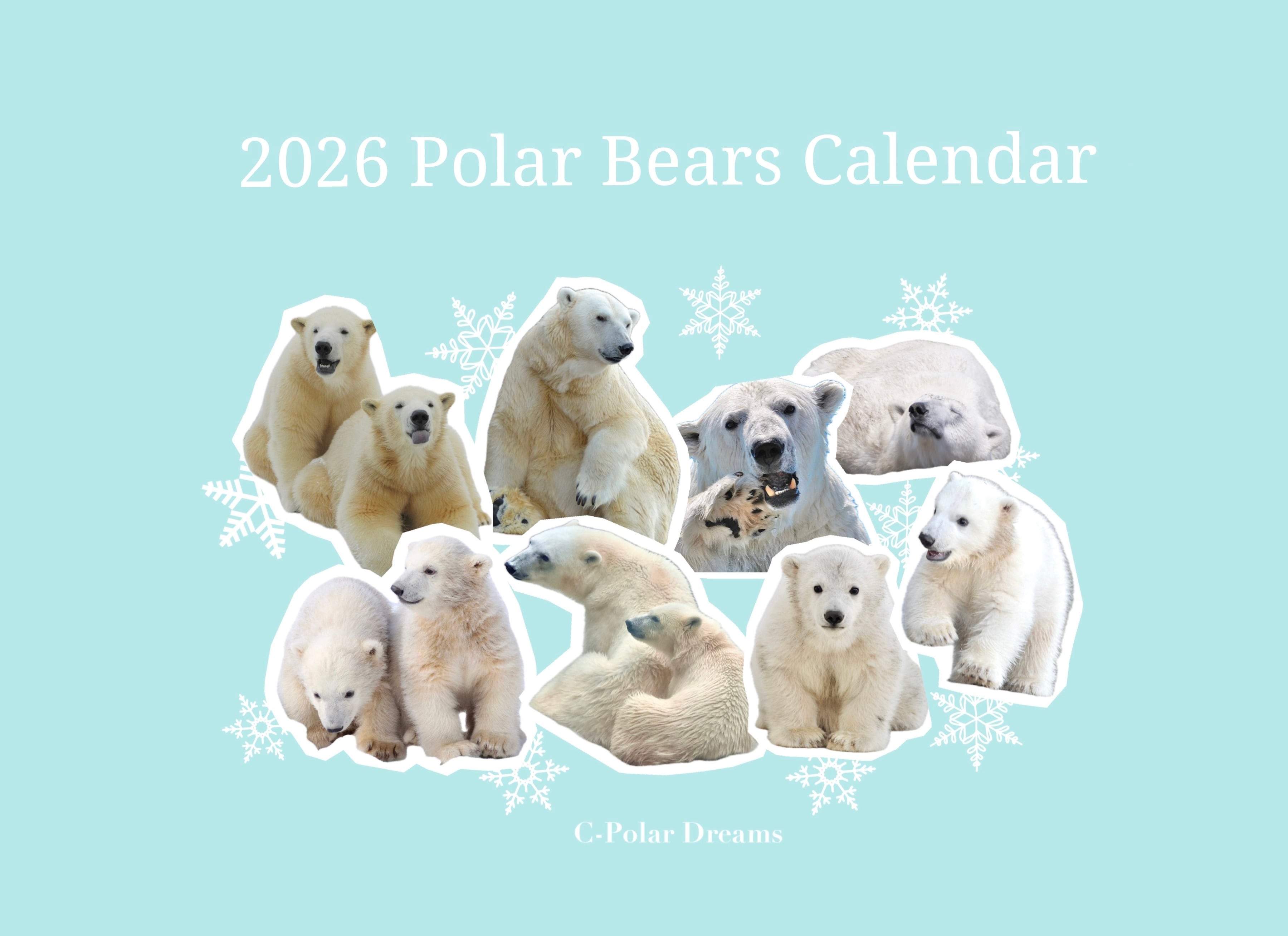 2026年 月曜始まり ホッキョクグマ卓上カレンダー | C-Polar Dreams