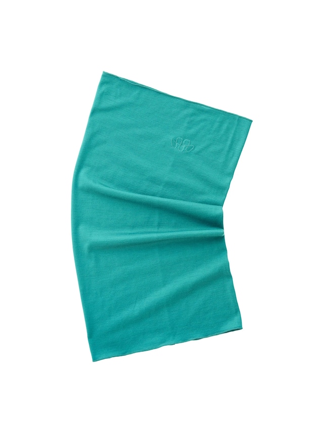 Teton Bros（ ティートンブロス）AXIO LITE NECK GAITER  -Emerald　メンズレディースネックゲイター