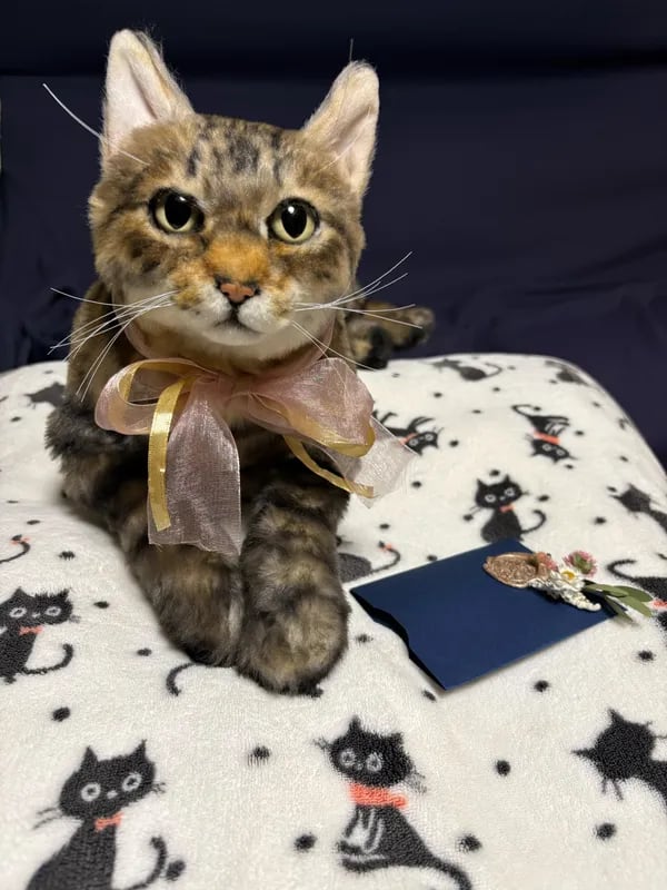 原田オーダー猫ちゃん 猫ちゃん】ペットそっくりオーダーメイドぬいぐるみ | GRAN CIEL