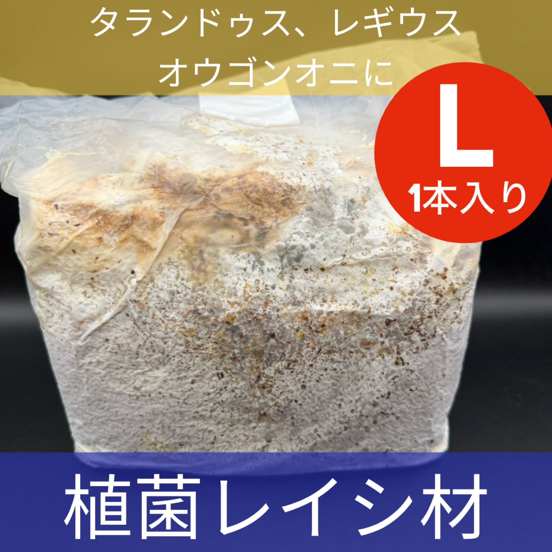 5袋セット】植菌カワラ材 Mサイズ2本入り | KPW BASE店