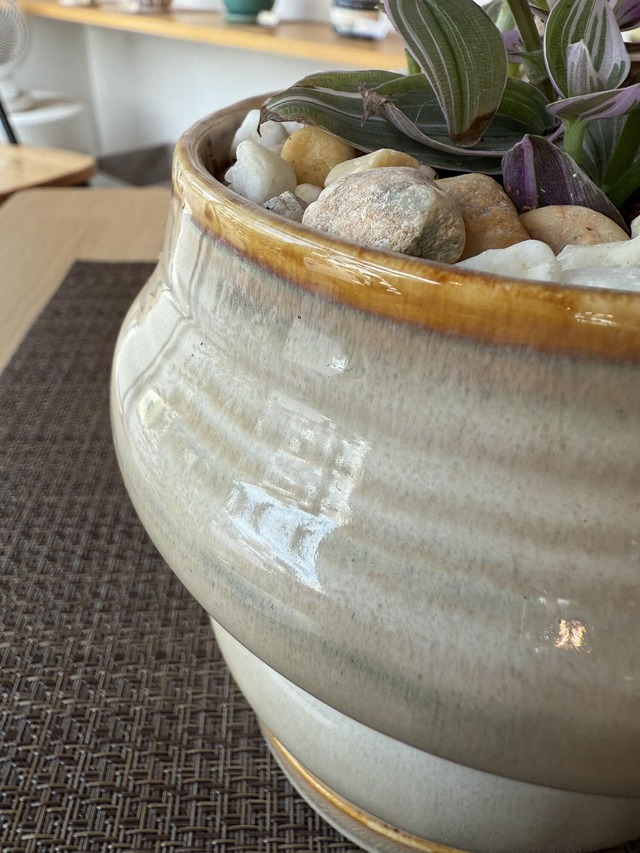 トラデスカンチア・ラベンダー