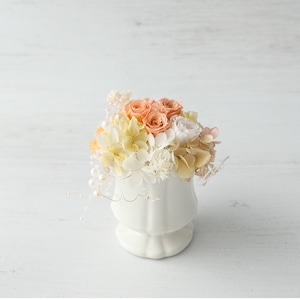 Apricot Lumière(アプリコット・ルミエール) Apricot Lumière(アプリコット・ルミエール)