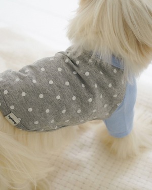 【予約】[ togethering ] Raglan Dot T-Shirt｜Grey